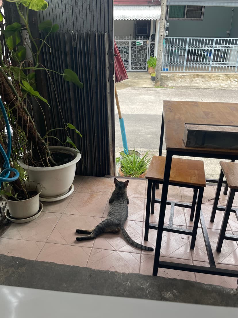 본문 이미지 8