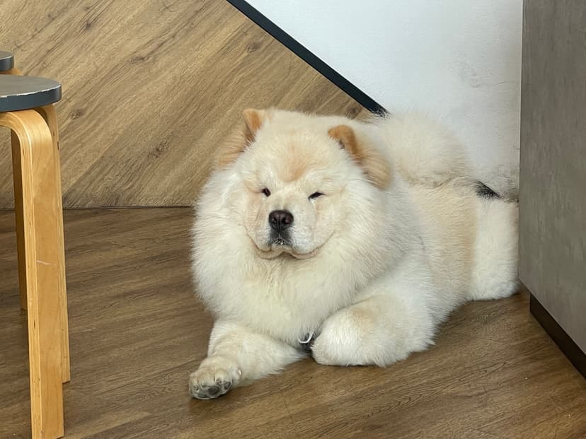 본문 이미지 25